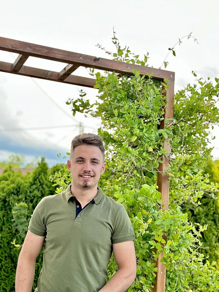 Meister bei der Arbeit